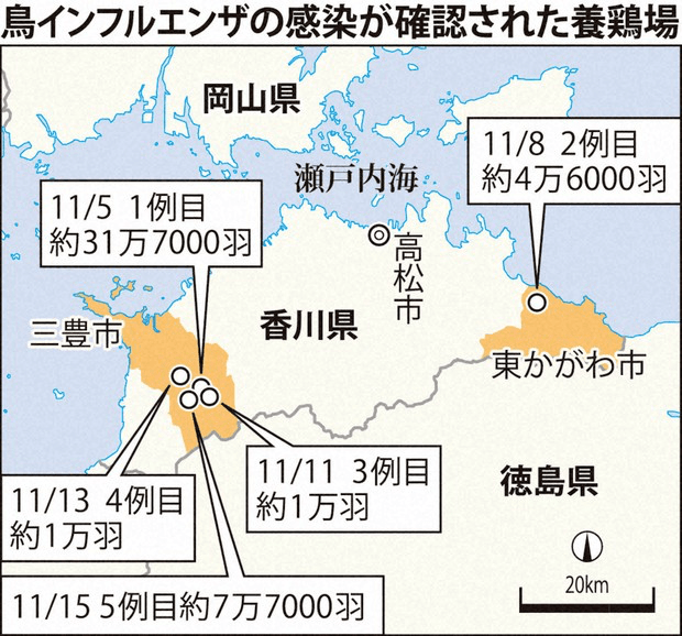 亚洲多地疫情蔓延，巴林何以成为焦点？