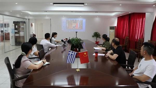 希腊肺炎疫情，挑战与应对