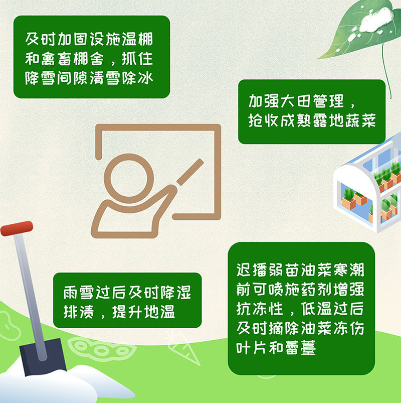科威特疫情持续挑战，应对策略需加强
