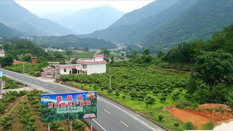 浙江防疫办数字铁军，当健康码变成第二身份证，我们如何守住隐私底线？