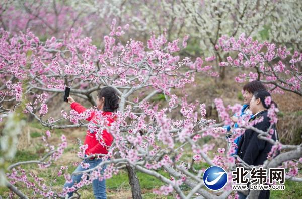 疫情何时结束？旅游业的复苏之路与未来展望