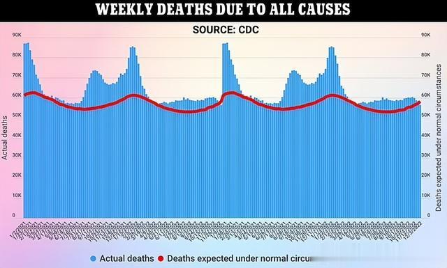 疫情下的美国，死亡人数背后的沉重代价