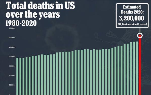 疫情下的美国，死亡人数背后的沉重代价