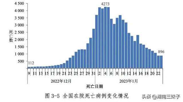 疫情中国到底死了总共多少人