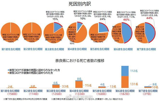 疫情下的中国，成年人死亡统计与影响分析