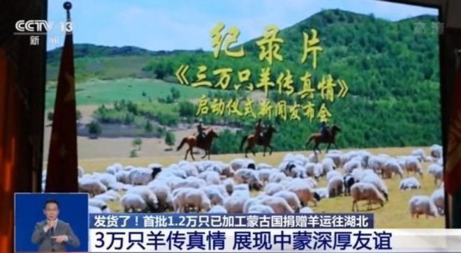 疫情下的温暖传递，蒙古国送羊助克罗地亚，友谊无价胜千金