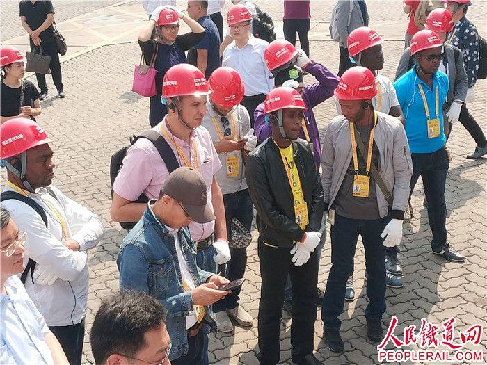 疫情下的温暖传递，蒙古国送羊给埃及的跨国情谊
