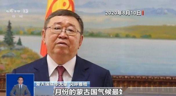 疫情下的温暖传递，蒙古国送羊的跨国情谊与埃及的应对策略