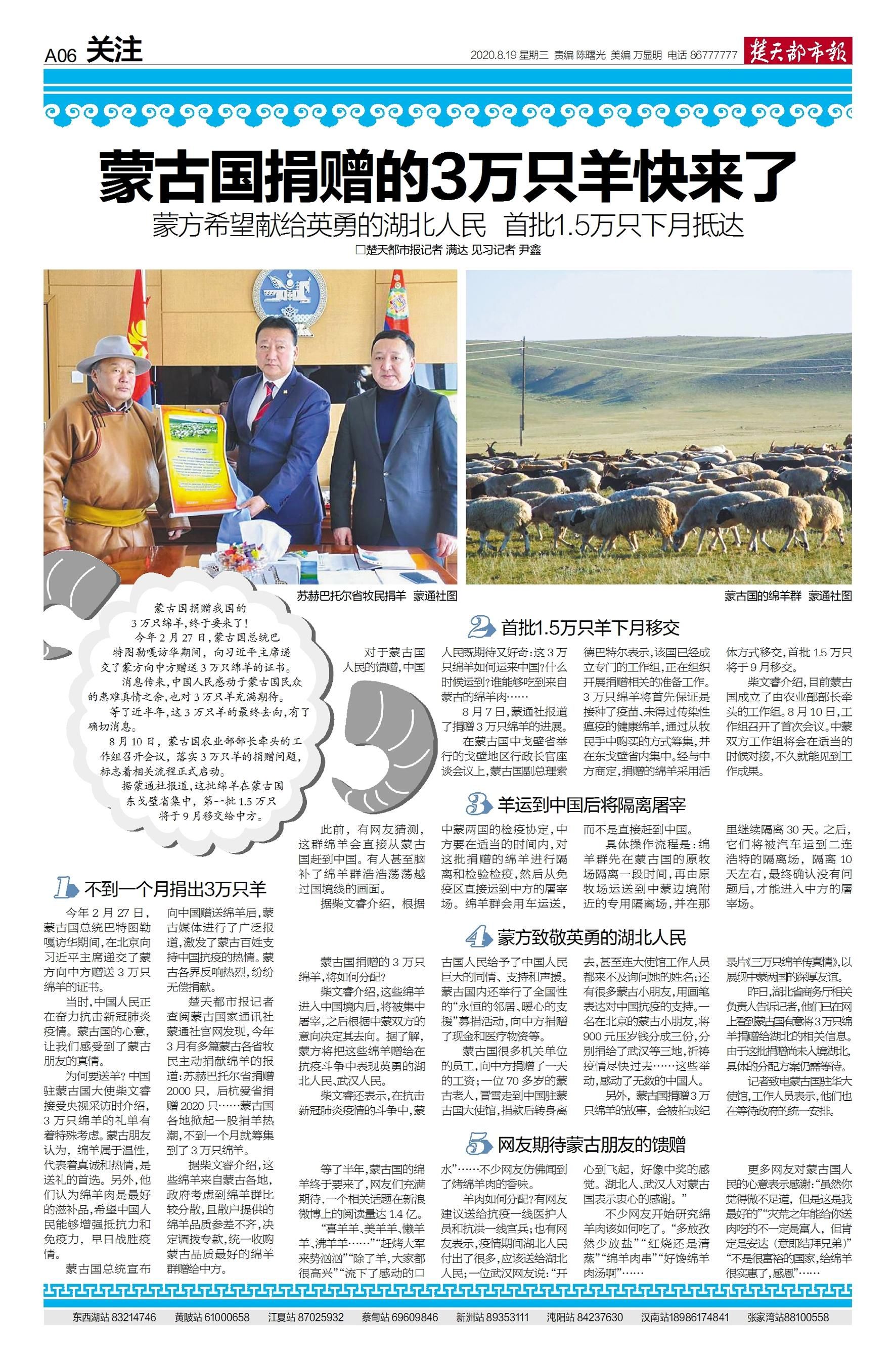 疫情下的温暖传递，蒙古国送羊的感人故事与埃及的应对策略