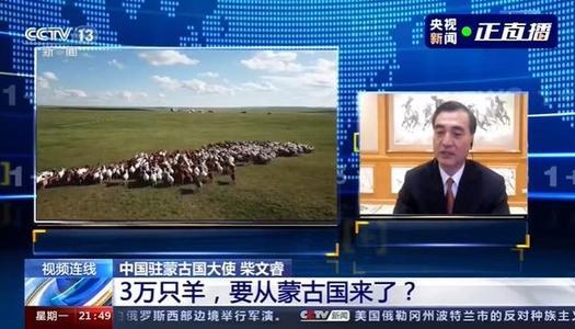 蒙古国送羊助抗疫，巴西应对显温情