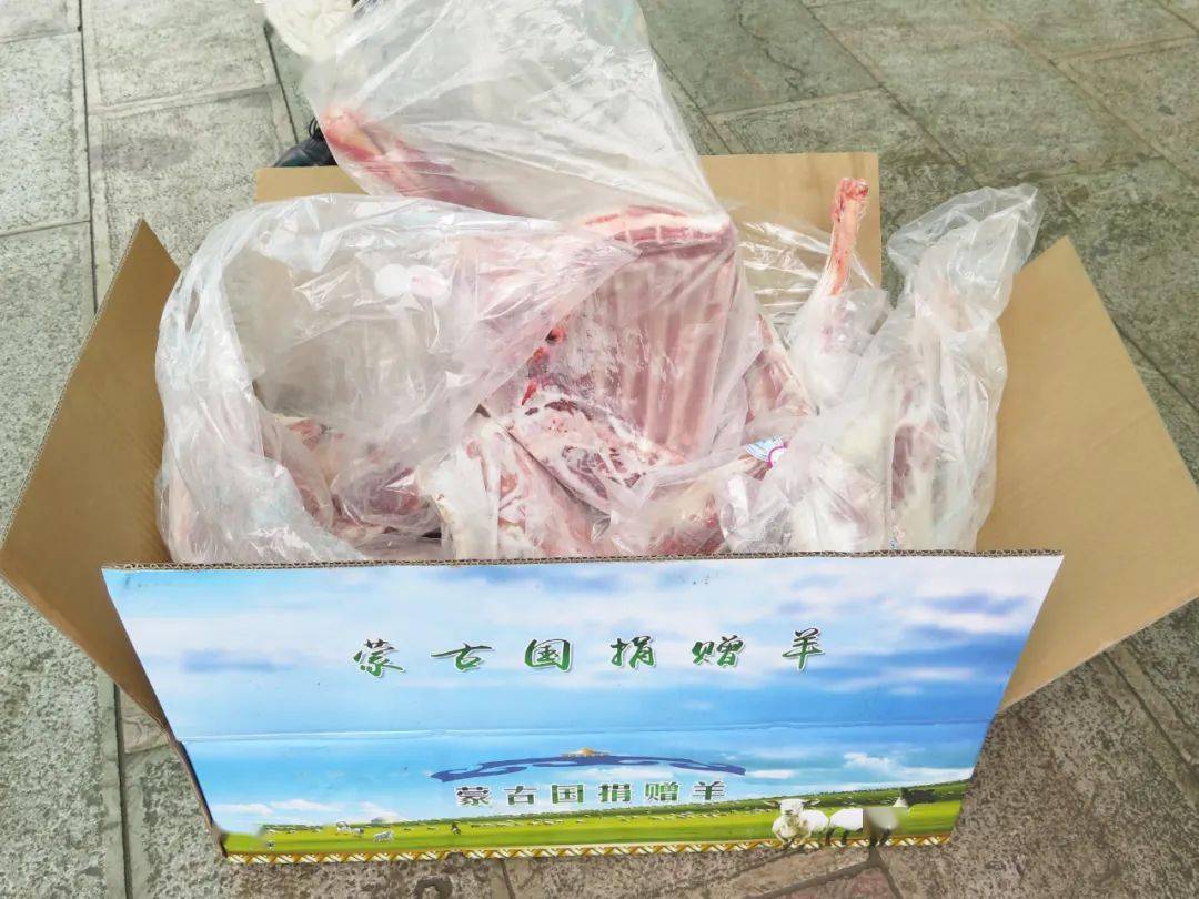 蒙古国疫情捐赠的羊去哪儿