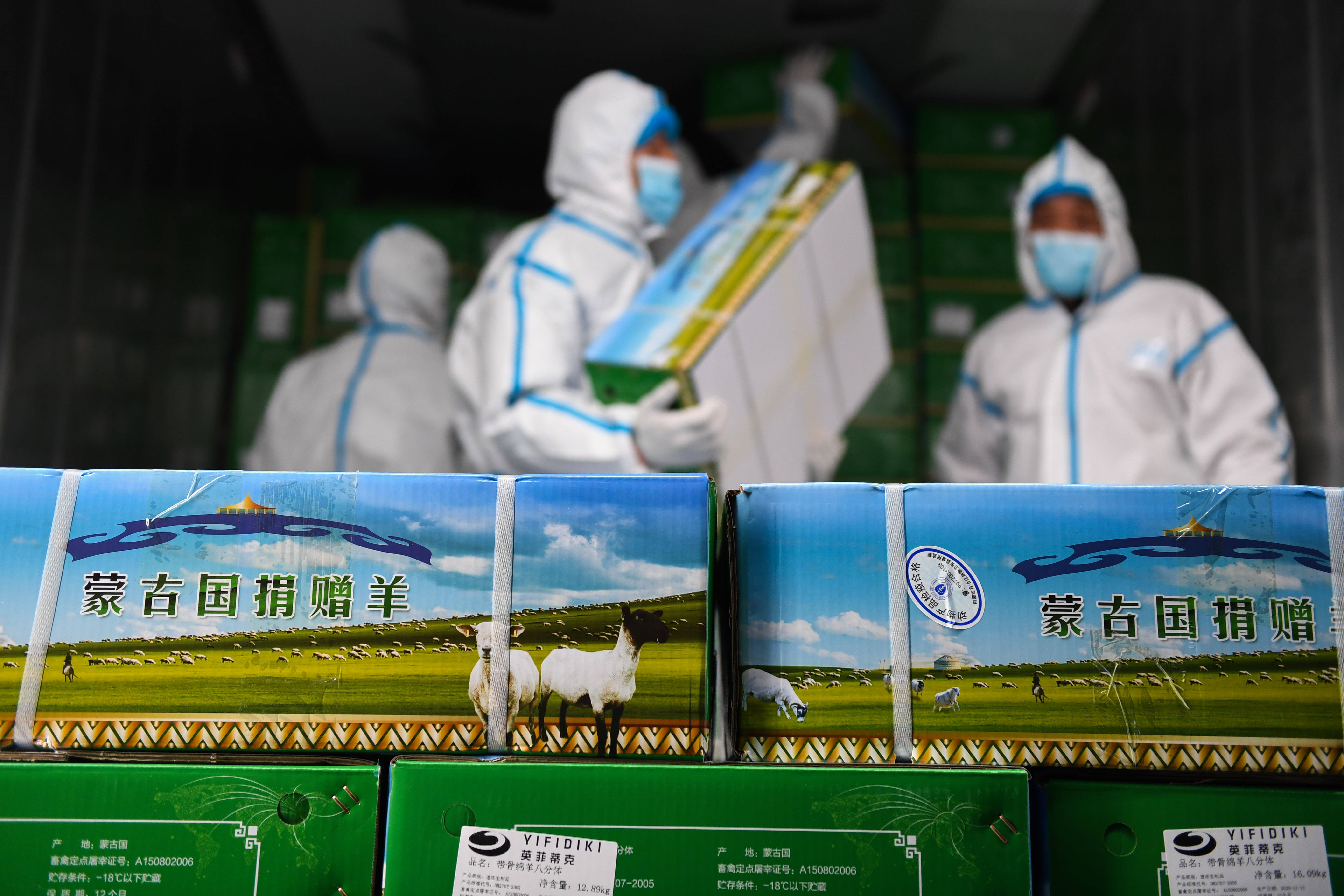 疫情期间蒙古捐赠羊，中国回礼彰显深厚友谊