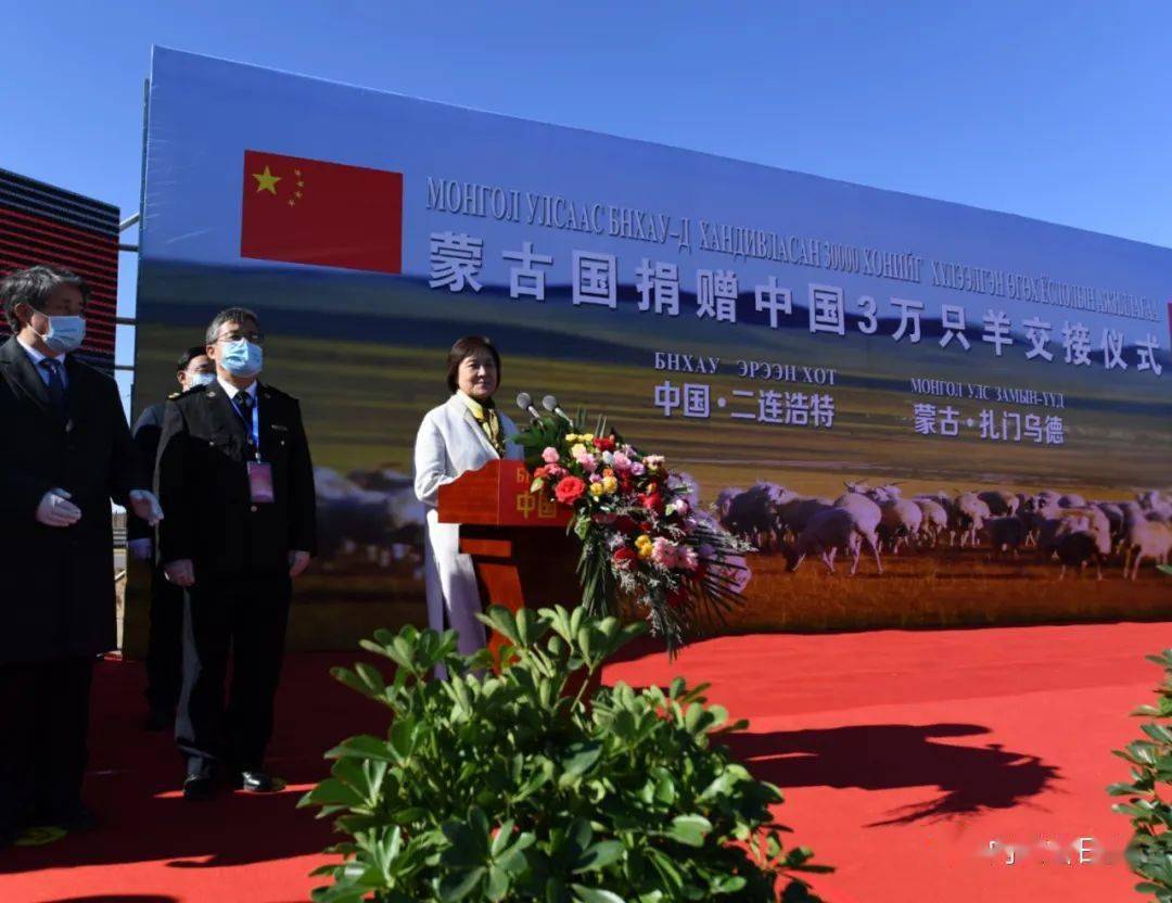 跨越国界的温暖与希望，蒙古国羊疫情捐赠