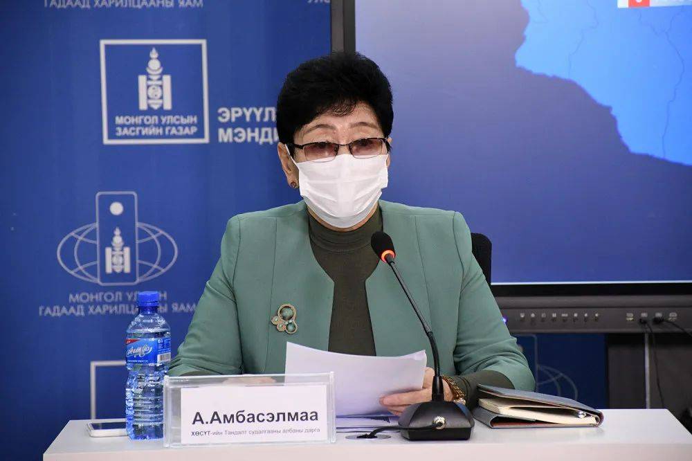 蒙古国疫情挑战与应对策略