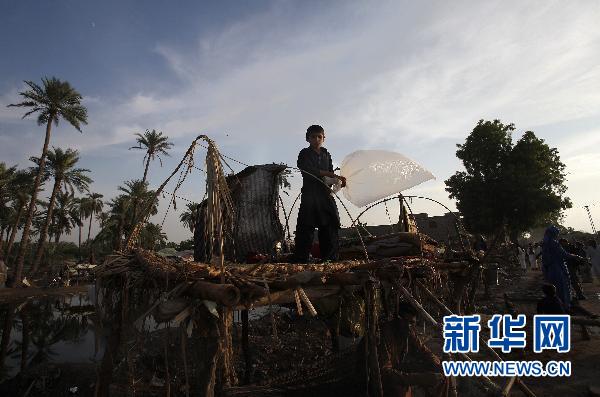 吉尔吉斯斯坦炭疽疫情，古老病菌在现代社会的隐秘威胁