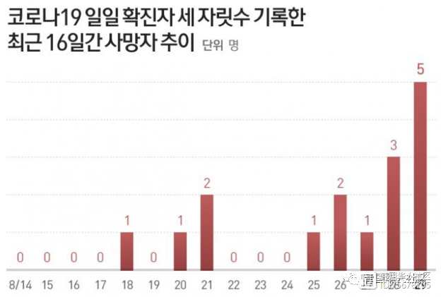 独家韩国疫情暗流涌动，最新数据背后的三大隐忧与全球警示