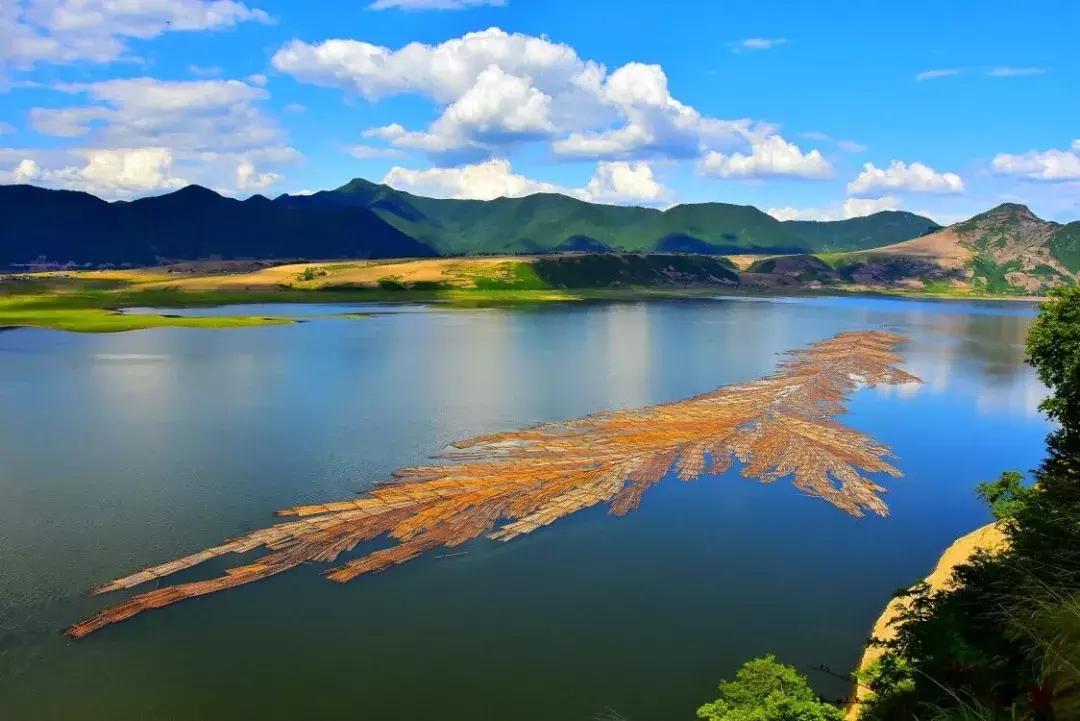 朝鲜零病例神话背后，尼泊尔病毒株的隐秘传播与全球防疫谜团