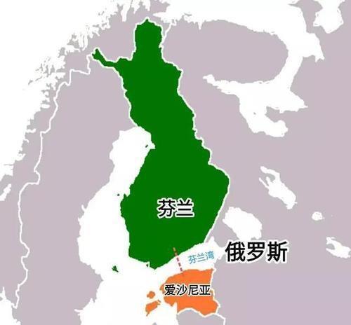 疫情迷雾，朝鲜零病例神话与芬兰病毒研究的全球启示