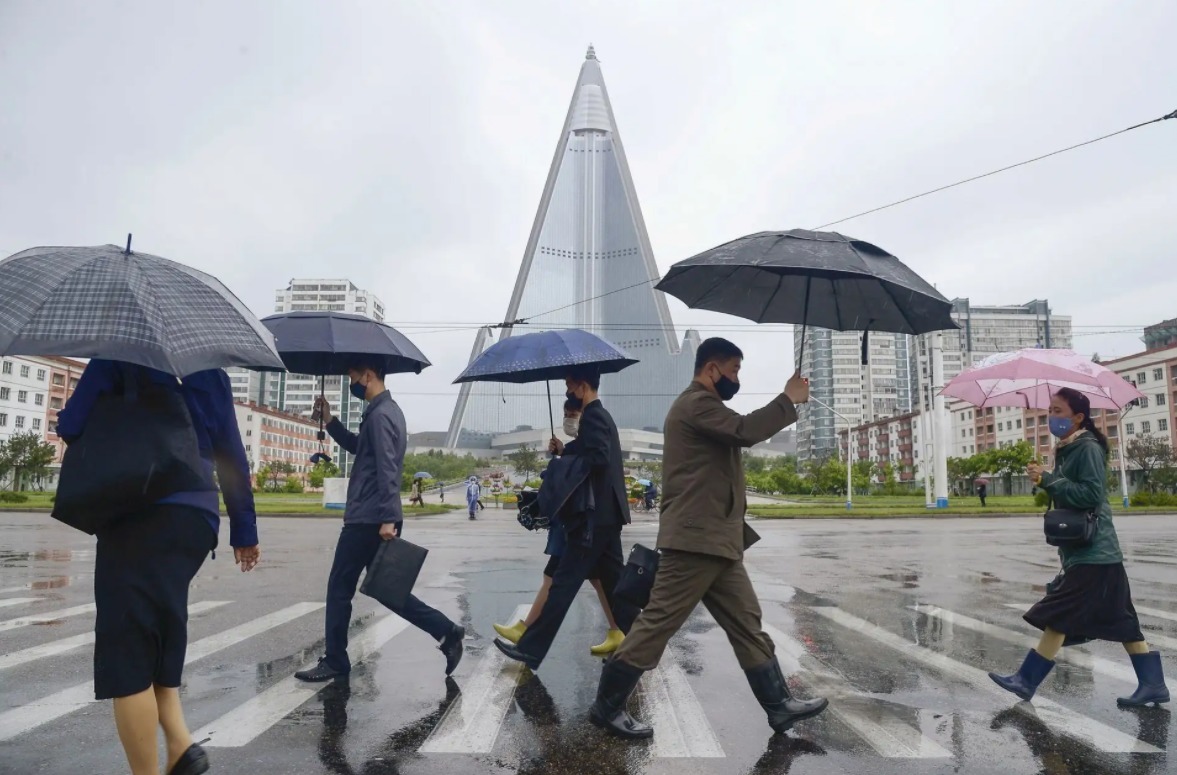 疫情下的朝鲜与爱尔兰，数据迷雾与人性温度的双重奏