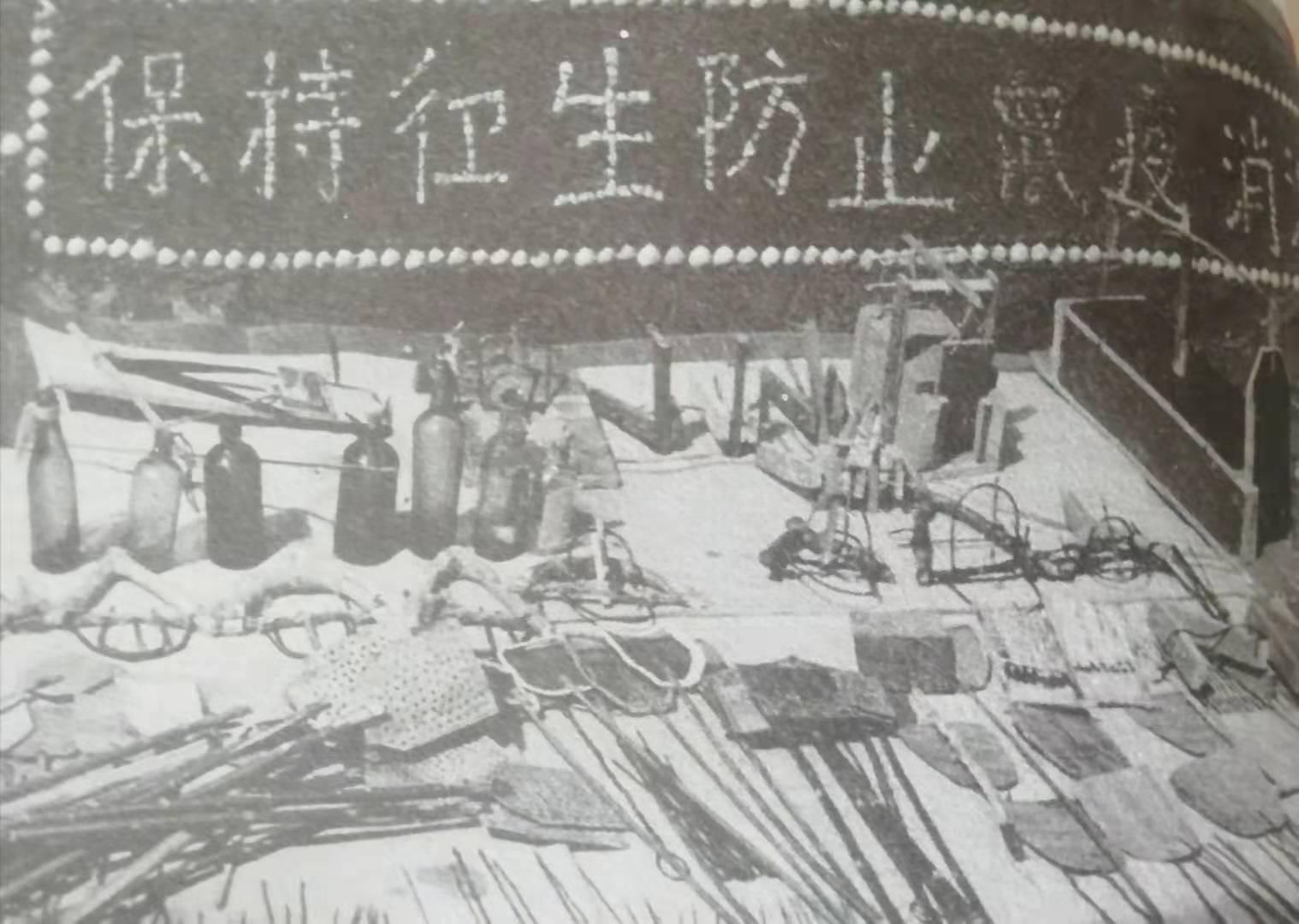 疫情迷雾中的朝鲜与荷兰，两个极端防疫模式的对比与反思