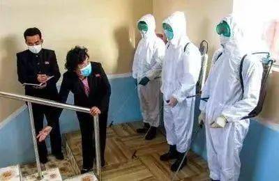 疫情朝鲜有多少例？揭秘卢森堡病毒与朝鲜防疫之谜