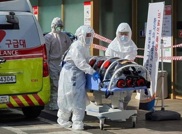 疫情迷雾，朝鲜零病例神话与塞尔维亚病毒危机的双重谜团