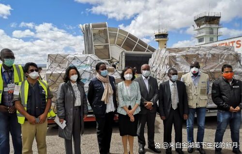 疫情外交的暗流，朝鲜的沉默与坦桑尼亚的中国选择