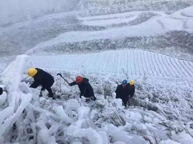 黑龙江疫情冷思考，当冰雪遇上病毒，这座边疆大省如何破局？