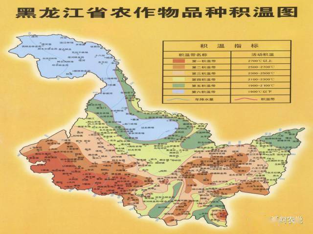 独家解读黑龙江省疫情最新地图,隐秘传播链与关键防控盲区 独家解读黑龙江省疫情最新地图,隐秘传播链与关键防控盲区
