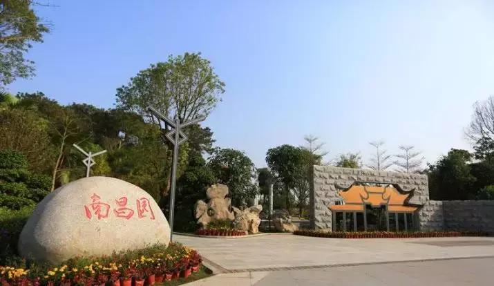 广西是武汉吗？一场关于地理认知的幽默与反思