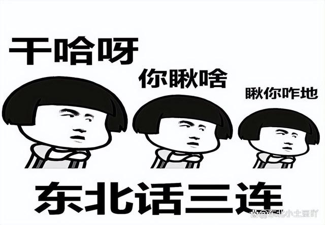 广西有哈尔滨吗？一场关于地理认知的幽默反思