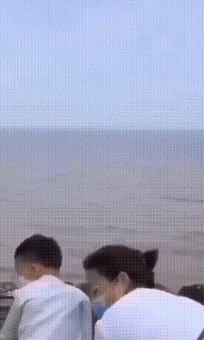 澳门与海南，疫情管控的双城记背后，藏着中国防疫的智慧密码