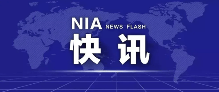 澳门疫情管控的福建密码，当闽式智慧遇上特区治理
