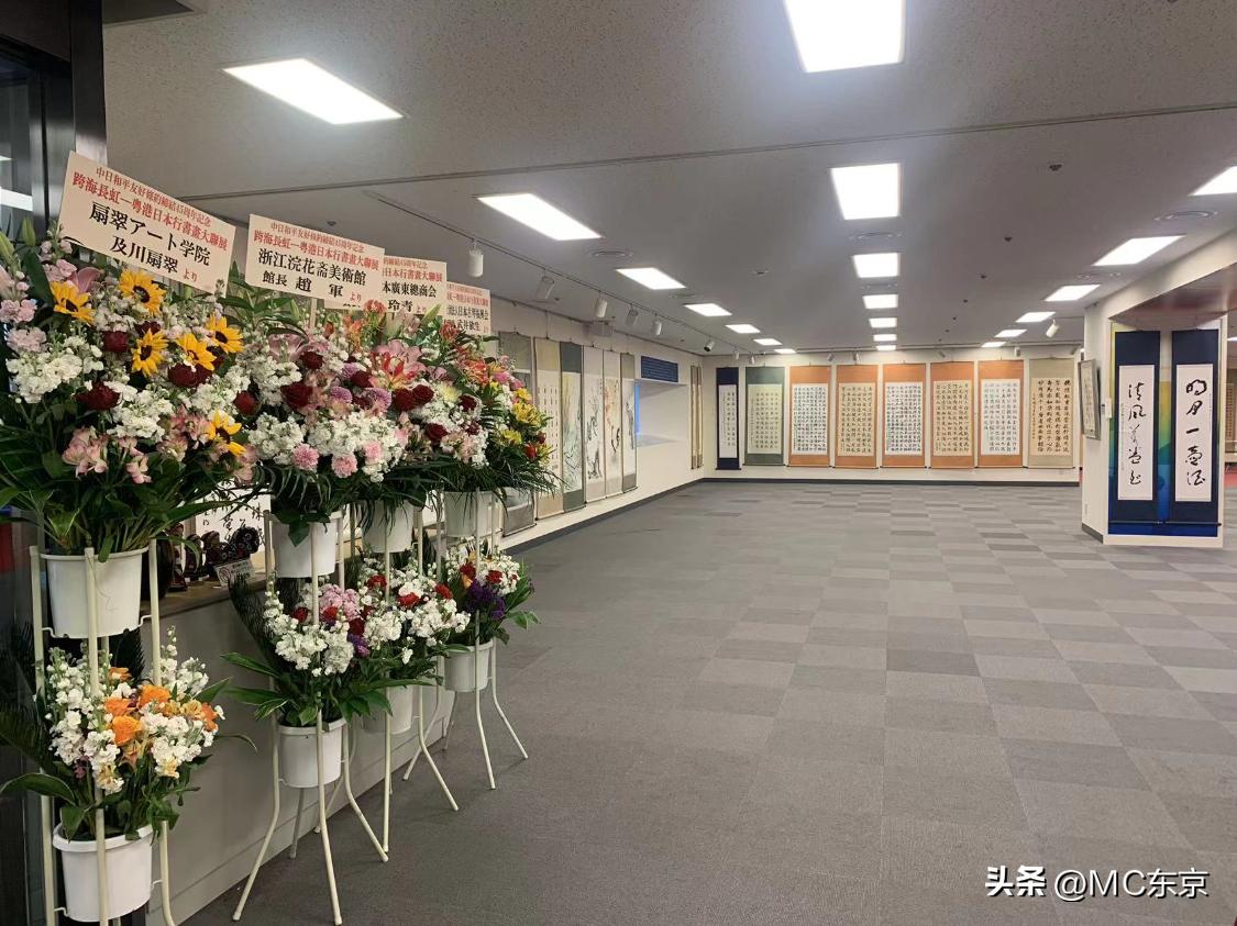 从澳门到海口，一场被低估的跨海之旅，藏着多少不为人知的岭南密码？