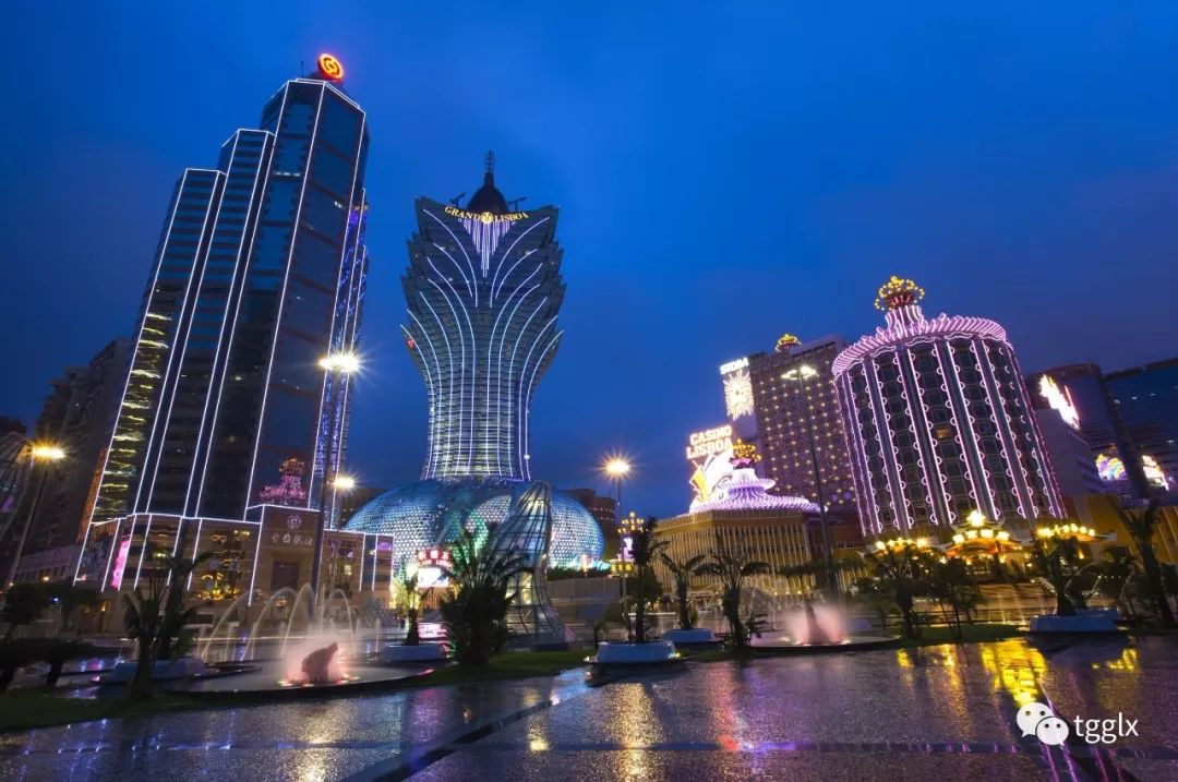 澳门入关上海，当混血之城遇见东方巴黎的魔幻现实