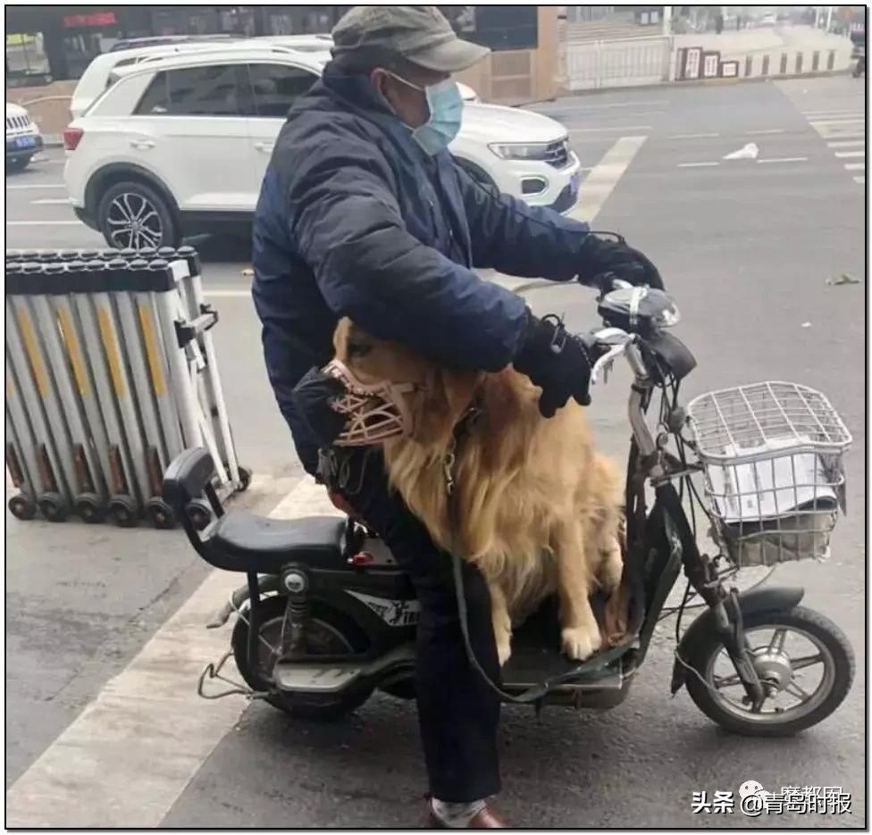河南防疫硬核背后的治理密码，西安疫情能否从中汲取经验？