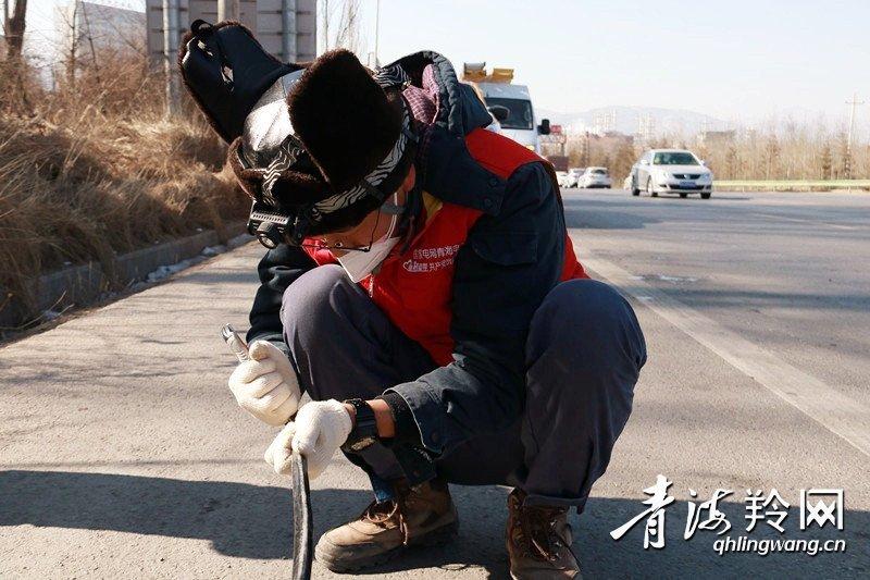 河南防疫VS西宁动态，两座城市的疫情应对策略与民生温度