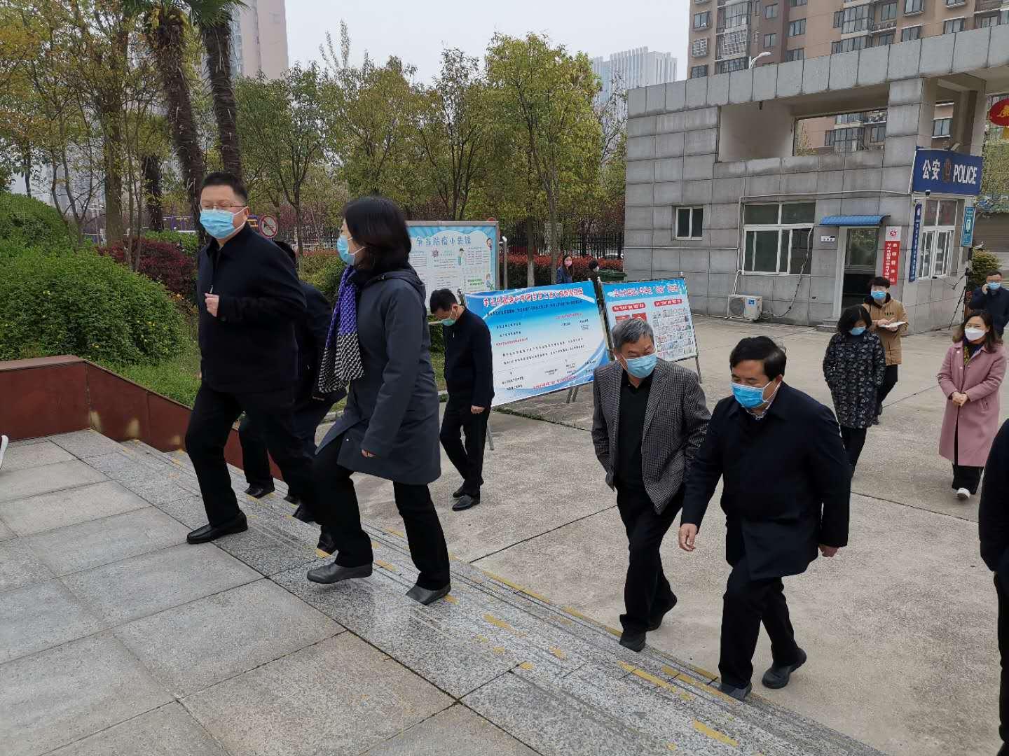 河南省官网疫情新观察，数字背后的治理逻辑与人文温度