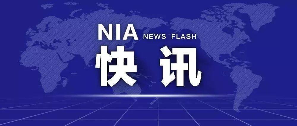疫情双城记，澳门与台湾的防疫辩证法