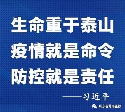 河南省疫情指挥部官网，一个被忽视的数字方舱如何重塑公共危机响应