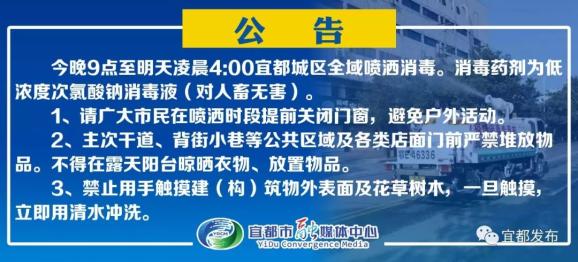 河南省疫情指挥部官网，一个被忽视的数字方舱如何重塑公共危机响应