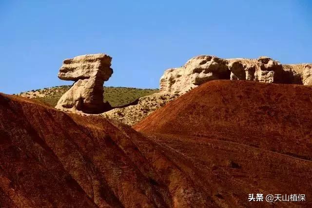 乌鲁木齐疫情下的数字围城，当健康码成为新型城墙