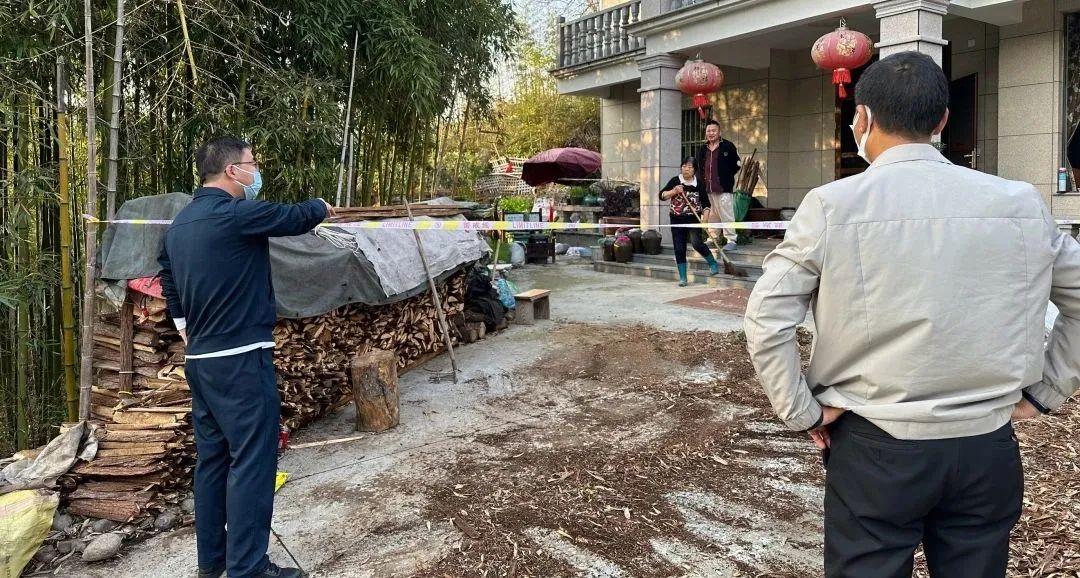 河南省疫情紧急通知与杭州最新动态，双城防疫策略的深度解析