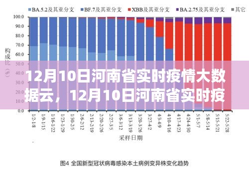 河南疫情官网背后的数据密码，你所不知道的防疫‘隐形战场’