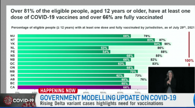 澳门疫苗接种率超90%这座小城如何成为全球抗疫优等生？
