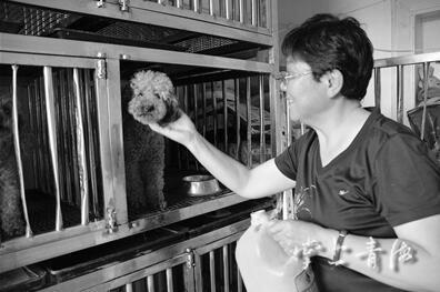 西宁疫苗之谜，当高原城市成为公共卫生的隐秘实验室