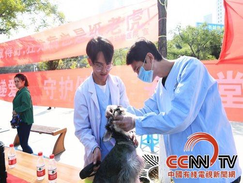 西宁疫苗之谜，当高原城市成为公共卫生的隐秘实验室