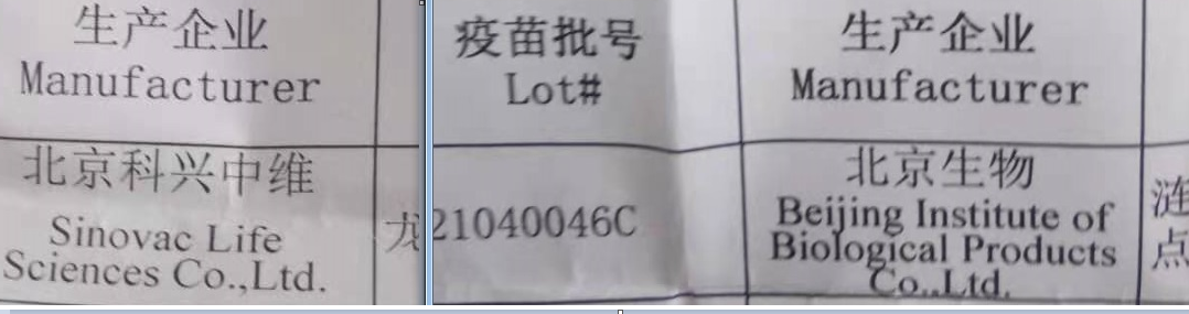 石家庄疫苗接种记，当北京生物成为城市暗号