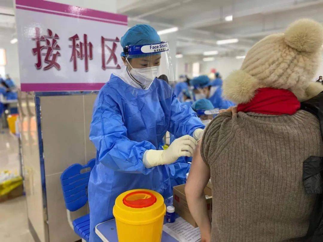 北京疫苗哈尔滨接种记，一场跨越千里的健康迁徙