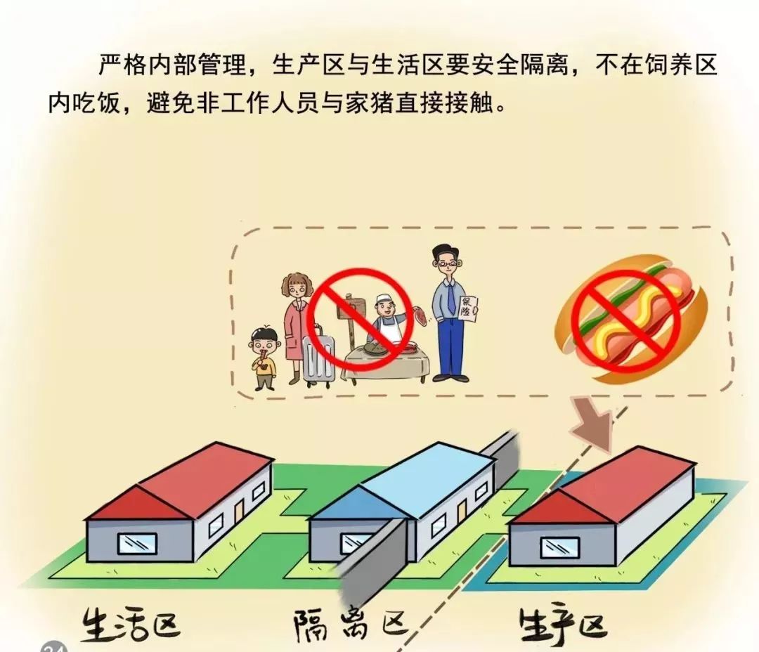 港澳防疫，当清零遇上共存，谁在守护我们的健康底线？